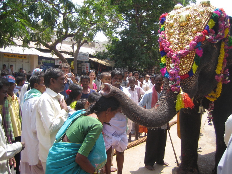 India Holy Elepant