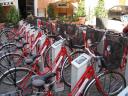 Rental bike