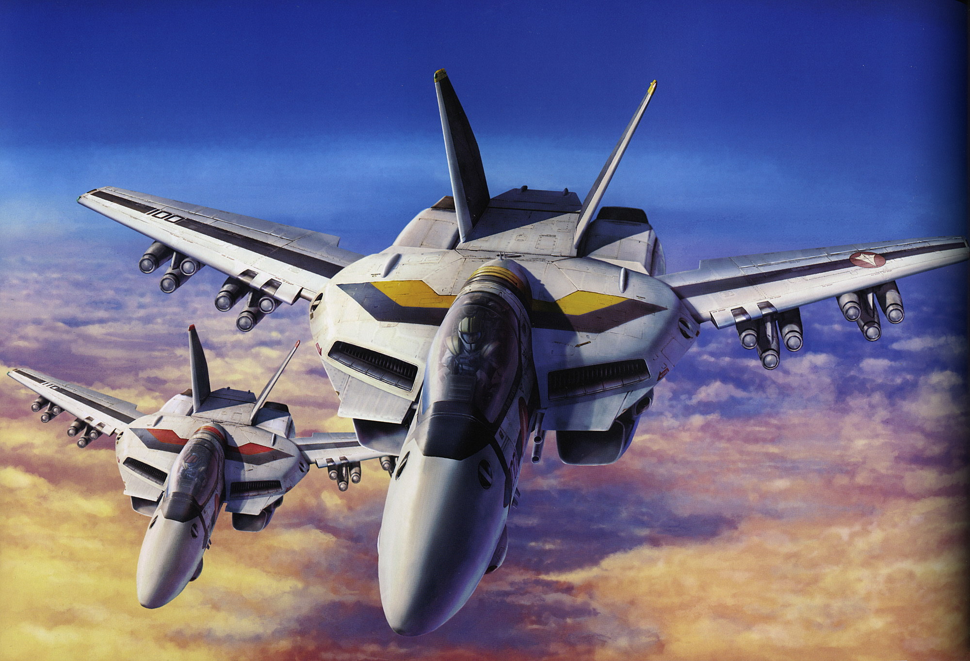 VF-1S