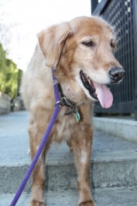 In memory of Charlie