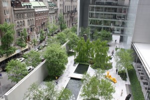 MoMA Garden
