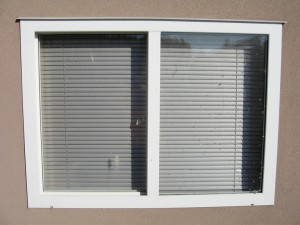 IMG_7396 IMG_7396