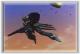 s_vf22_j08.jpg 1.6K
