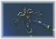 s_vf22_j12.jpg 1.4K