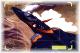 s_vf22_j16.jpg 2.2K